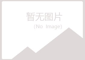 洱源县冰夏采矿有限公司